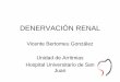 Denervación renal - Sociedad Española de Cardiología · • Exclusión –FG < 45 mL/min/1,73 m2 –A. renal estenótica, < 4 mm diámetro o < 20 mm longitud Symplicity HTN-2 Investigators