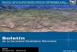 Boletínboletinsgm.igeolcu.unam.mx/bsgm/docs/portadas/portada-7102.pdf · base a fronteras artificiales y, por consiguiente, el Boletín está abierto a cualquier área geográfica