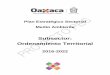 Subsector: Ordenamiento Territorial - Oaxaca€¦ · El impulso del desarrollo social, la inclusión, la productividad y la prosperidad, requieren una política de ordenamiento territorial