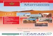 marruecos - Cofaran · Marruecos Un viaje al más próximo de los países lejanos del 23 de octubre al 1 de noviembre RABAT AID BEN HADOU FEZ VOLUBILIS GARGANTA DEL TODRA MARRAKECH