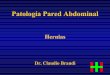 Patología Pared Abdominal - Hospital Italiano de Buenos Aires€¦ · Contribuciones de Bassini • Apertura completa aponeurosis del oblicuo mayor • Diferenciación entre defectos