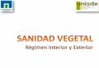 Régimen Interior y Exterioraniade.es/aniade/wp-content/uploads/2019/04/190426_SANIDAD-VE… · Comercio Exterior 149.1.16ª.1 Sanidad Exterior Sanidad Vegetal en España. LEY 43/2002,