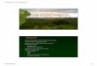Manejo silvicultural teca 2008 - El semillero SILVICULTURAL T. gran… · Manejo silvicultural y avances en el desarrollo de paquetes tecnológicos para maximizar el crecimiento y