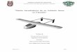 “Diseño Aerodinámico de un Vehículo Aéreotesis.ipn.mx/jspui/bitstream/123456789/11997/1/1765 2012.pdf · Instituto Politécnico Nacional Escuela Superior de Ingeniería Mecánica