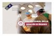 Monitor donacion 2019 - ss.pue.gob.mxss.pue.gob.mx/wp-content/uploads/2019/09/donacion-_2019.pdf · Hospital General de Zona No. 20 «La Margarita» 2 33 88 77 Hospital Regional del