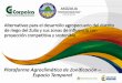 Plataforma Agroclimática de Zonificación Espacio Temporal€¦ · DE GRAN ESCALA DEL RIO ZULIA Alternativas potenciales de producción agropecuaria competitivas y sostenibles desde