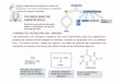 CATABOLISMO DE T 14 Ciclo Urea AMINOÁCIDOS€¦ · CICLO UREA Ciclo de la urea Enzimas del ciclo de la urea:-Carbamil-fosfato sintetasa I - Ornitina transcarbamilasa-Arginosuccinato
