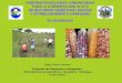 €¦ · Participación en 20 Informe Nacional de Recursos Fitogenéticos (FAO, 2008). Ampliado a 35000 familias participantes. Organizado: Encuentro Centroamericano de Semillas