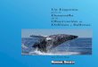 DolphinWhaleManualSPN 01 07mundoazul.org/descargas/esquema_observacion_ballenas... · 2012-03-21 · La observación sostenible de ballenas con altos estándares de calidad y el turismo