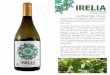ECOLÓGICO VERDEJO NOTAS DEL VINOsingular.wine/assets/diptico-irelia-ecologico-es-dig.pdf · 2019-11-13 · La uva Verdejo llegó a Europa debida a la migración árabe desde norte