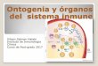 Ontogenia y organos del sistema inmunológicoMediadores solubles Interacción entre las células linfoides y elementos del microambiente Órganos del sistema inmune Bradley et al Curr