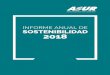 INFORME ANUAL DE SOSTENIBILIDAD 20186 7 INFORME ANUAL DE SOSTENIBILIDAD 2018PERFIL DE LA COMPAÑÍA 2.0 Grupo Aeroportuario del Sureste, S.A.B. de C.V. opera un grupo de nueve aeropuertos