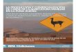 ANALISISS DEE SISTEMASS GANADEROS,TRAMM AA SS …produccion-animal.com.ar/produccion_de_camelidos/Llamas/... · 2016-07-09 · Emprendimientos familiares o unipersonales Entramado