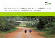 Bosques y derechos comunitarios · 7 Las regulaciones como barreras a los beneficios comunitarios en las reformas de tenencia 145 Juan M. Pulhin, Anne M. Larson y Pablo Pacheco 