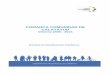 20 Informe COMUNIDAD DE CALATAYUD - Aragon...Comarca Comunidad de Calatayud - Informe 2009-2015 / Pág. 11 2.2. Funciones y servicios Archivos área Cultura. 2009 - 2015 Comunidad