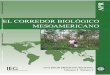 EL CORREDOR BIOLÓGICO MESOAMERICANOdocuments.worldbank.org/curated/en/... · mundiales y regionales. Los APM/APR no califican formalmente los diversos atributos del programa. El
