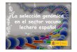 La selección genómica en el sector vacuno lechero …...ABEREKIN ASCOL CENSYRAS (León, Madrid, Torrelavega, Movera, Badajoz) INIA (ADN) Banco estatal de semen y ADN en 2010 1. En