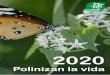 2020 - Ecologistas en Acción · 2019-12-05 · 3 Día Internacional Libre de Bolsas de Plástico. 10 Accidente de Seveso (1976). 22 Declaración del primer Parque Nacional (1918)