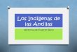 Los Indígenas de las Antillas - Novus Legerenovuslegere.weebly.com/.../los_indigenas_de_las_antillas.pdf · 2018-09-11 · Antillas Mayores y en regiones de Venezuela y las Guyanas