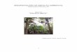 MANIFESTACIÓN DE IMPACTO AMBIENTALconsultaspublicas.semarnat.gob.mx/expediente//qroo/estudios/2016… · vegetación de matorral costero en estrato arbóreo predominantemente, cuenta