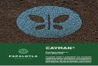 Grupo Papalotla / Semillas de pastos híbridos mejorados - CAYMANgrupopapalotla.com/pdf/folleto_cayman.pdf · 2019-06-03 · proveniente de una generación de híbridos desarrollados