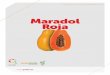 Más información en Maradol Roja … · 2018-10-05 · Semillas del Caribeø One Step Ahead Más información en Maradol Roja SEMICLAS DE PAPAYA Este producto, contiene la tecnología