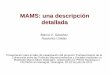 MAMS: una descripción detallada - United Nations · 2011-11-02 · MAMS: una descripción detallada Marco V. Sánchez Naciones Unidas Presentación para el taller de capacitación