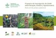 Programa de Investigación de CGIAR sobre Bosques, Árboles ...El CRP-FTA es un programa de colaboración a largo plazo de proyectos de investigación multidisciplinarios e interconectados