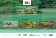 COMITÉ CIENTÍFICO€¦ · 1. Clasificación de los paisajes de la Orinoquia: Colombia y Venezuela 2. Tipología de aguas (blancas, claras y negras) y su relación con la identificación