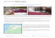 Caño Cristales – Una paraíso Terrenalproductos.grupoaviatur.com/boletinimg/landing-premier/...la Macarena cuenta con más de 1592 especies de plantas, 772 especies registradas