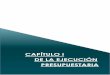 CAPÍTULO I DE LA EJECUCIÓN PRESUPUESTARIA · 2016-11-25 · afectaron la situación económico-financiera de las jurisdicciones o entidades que conforman la Administración Central