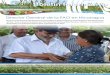 1 Boletín Informativo · Feria Regional de la papa en Matagalpa Este año la cosecha de primera del cultivo de papa, sobre cumplió las metas programadas. Alcanzó una producción