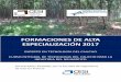 FORMACIONES DE ALTA ESPECIALIZACIÓN 2017 · 2019-06-26 · Descripción conceptual de los compuestos del caucho, sus propiedades y características fundamentales. ... • Correlacionar