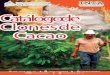 tálogo Ca de Clones de Cacao - El 19 Digital · El cacao fue el sustento de la economía indígena de Nicaragua desde antes del siglo XVI, para la llegada de los españoles, los