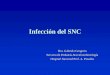 Infección del SNC - SAP · Infecciones asociadas a derivación de LCR ¾En los pacientes con hidrocefalia el tratamiento incluye la derivación de LCR hacia otra parte del cuerpo