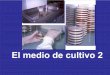 Tema 3 - CD Universidad de Oviedoocw.uniovi.es/pluginfile.php/2615/mod_resource/content/1/TEMA_4-… · Aumento del metabolismo del N. Azúcares • Energía • Agente osmótico