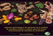 Sistema Participativo de Garantía de la calidad...Sistema Participativo de Garantía de la calidad de las semillas criollas y nativas para las Casas Comunitarias de Semillas de Colombia