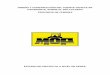 DISEÑO Y CONSTRUCCIÓN DEL PUENTE VEHICULAR …siproy.mef.gob.pa/tab/24781_2016_18018_PUENTE... · Diseño y construcción del puente vehicular Panamonte, sobre el río Caldera,