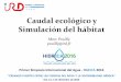 Caudal ecológico y Simulación del hábitat · Servicios / beneficios : Recarga de Capa freática, Calidad de agua (ciclo geoquímico, auto-depuración), ... simulación del hábitat