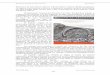 Revista Numismática HÉCATE N 2 Recensionesrevista-hecate.org/files/3214/5096/2907/ChavesPliego2015.pdf · Las Dras Chaves y Pliego señalan su interés por el tesoro descubierto
