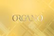 ORGANO™ - OG ACADEMY...OG Mixer en el folleto Capacitación para Comenzar en OG para que vea lo fácil y divertido que puede ser compartir los productos OG. OG Mixer Nro. 1 –10
