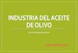 INDUSTRIA DEL ACEITE DE OLIVO · •Se rompen las paredes de las células de los tejidos vegetales de la aceituna liberando el aceite que contienen. . •Antes de la industrialización
