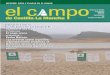 INFORME: PODA Y PLAGAS EN EL OLIVAR · Revista de ASAJA Asociación Agraria-Jóvenes Agricultores de Castilla-La Mancha Número 1 | Enero - Febrero 2006 INFORME: PODA Y PLAGAS EN