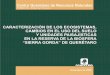 GOBIERNO DEL ESTADO DE QUERÉTARO XII.pdf · Rzedowski (1992) sobre la vegetación de Querétaro y la carta de uso del suelo y vegetación de CONCYTEQ - CQRN, nos muestran, aunque