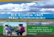 El Delta del Río Colorado · Estado de Sonora, y el So-noran Institute han desarrol-lado el Programa Adopta el Río, una iniciativa voluntaria de participación comunitaria destinada