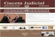 Gaceta JudicialGaceta Judicial - Poder Judicial de Tamaulipastomado ya, la decisión formal de extender los procesos que inicialmente de manera pionera habían desarrollado el Distrito