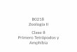 B0218 Zoología II Clase 8 Primero Tetrápodos y Amphibiabiologia.ucr.ac.cr/profesores/Chavez Gerardo (Cachi)/B0218 Zoologi… · Se presume que tenían huevo amniota. ... Hipótesis