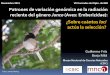 Presentación de PowerPointdigital.csic.es/bitstream/10261/125759/1/2015_11_23... · 2019-06-11 · Indicios de diversificación reciente durante la expansión postglacial del género
