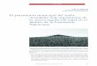 El patrimonio municipal del suelo: novedades más ...asocex.es/wp-content/uploads/PDF/200707_42_53.pdf · Auditoría Pública nº 42 (2007) p.p. 53-60 53 Robert P. Cortell Giner Letrado