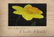 DE GRAAFF'S Bulb Book - DaffLibraryDE GRAAFF'S Bulb Book H. DE GRAAF F& SONS - 113 Markham Drive, Pittsburgh. Pa There are many non-daffodil plants offered in this catalog. However,